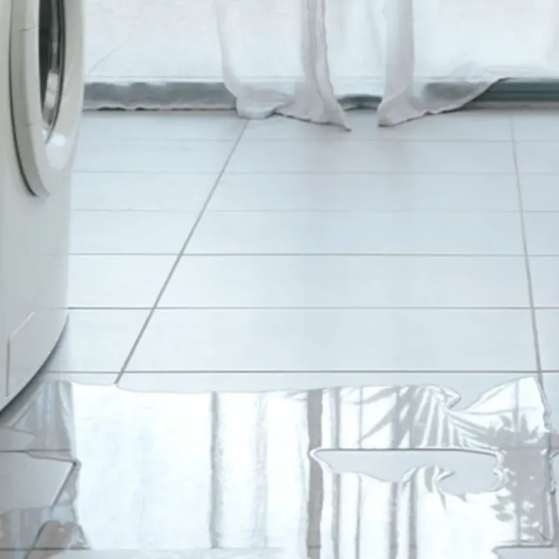 Appliance Leak Cleanup in Albany, OR